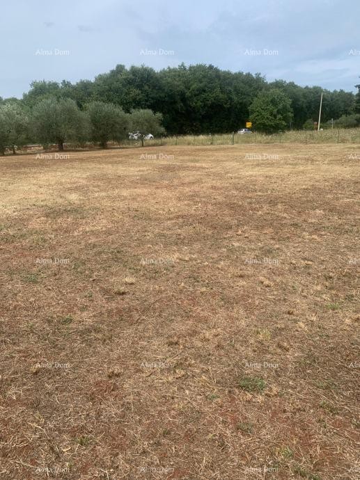 GRADBENIŠKO ZEMLJIŠČE BLIZU BRTONIGLE – 2.470 m² 2