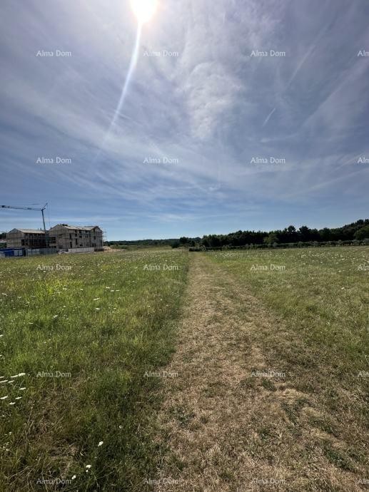 Prodaje se građevinsko zemljište, 5832m2, Barban 4