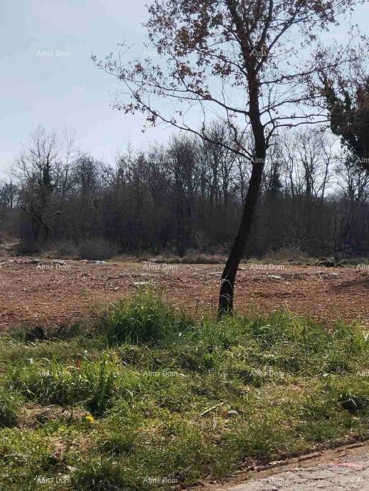 Land 2765 m² in a Quiet Location – Poreč 2
