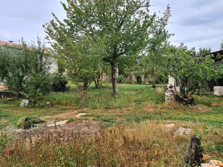 Полуразрушенный дом в небольшой деревне недалеко от Грачишче 15