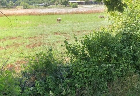 Please provide the title you would like me to translate into Russian. 1