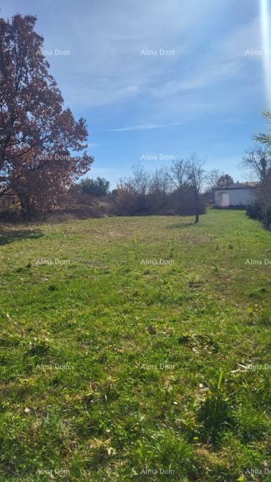 Привлекательный участок под застройку недалеко от Пореча 6