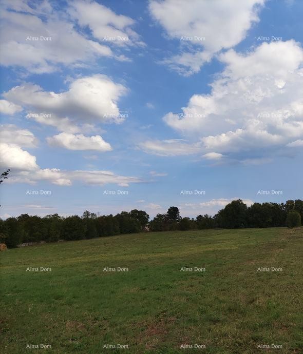 Земля под застройку, Филиппина. 1