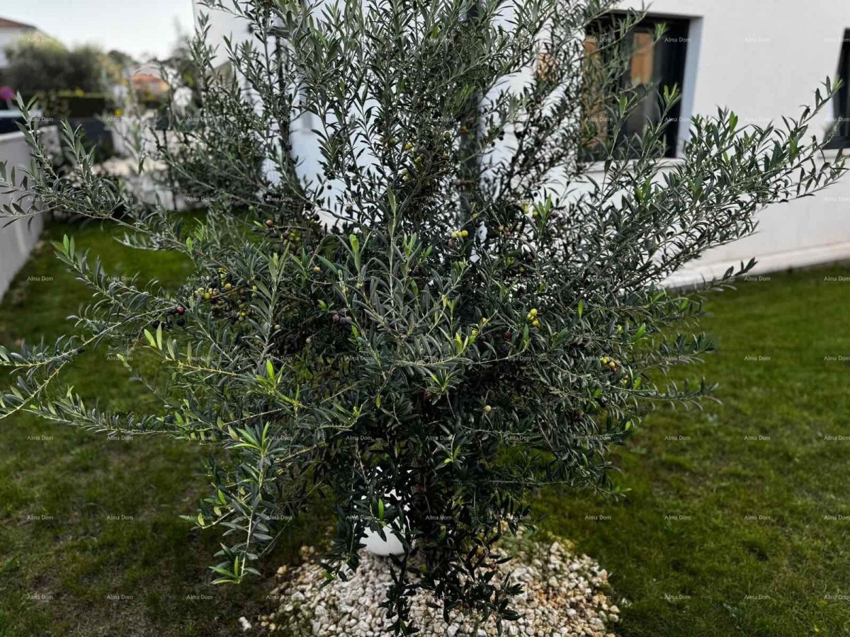 Moderano opremljen stan s vlastnim bazenom, vrtom in parkirnim mestom, Pula! 14