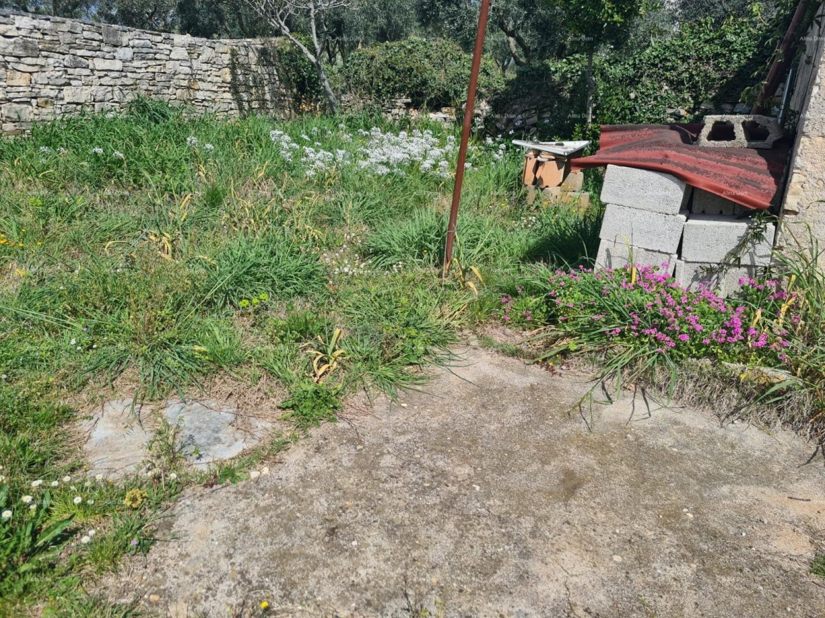 GALIŽANA - casa con diversi edifici e ottimo potenziale di ristrutturazione 31