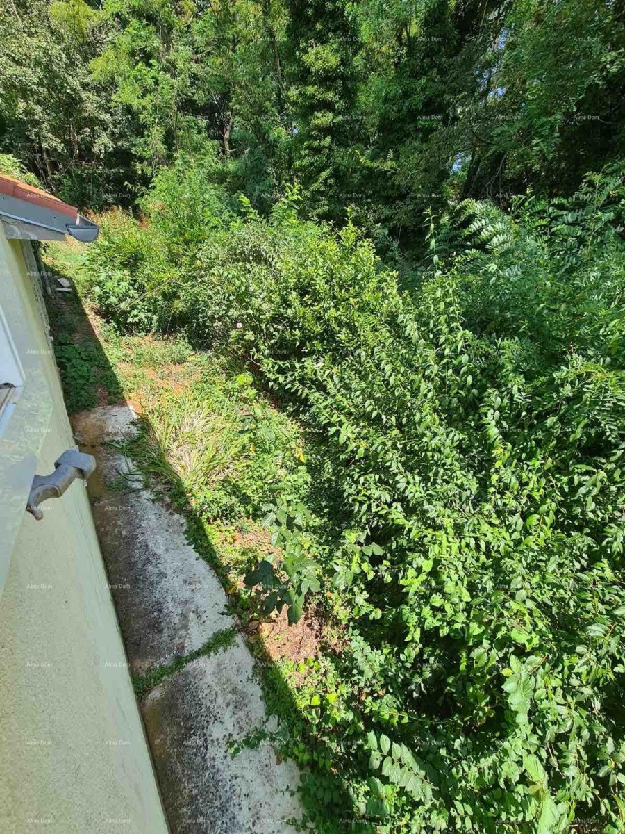 Prodaja hiše z dvoriščem in velikim zemljiščem, Barban 20