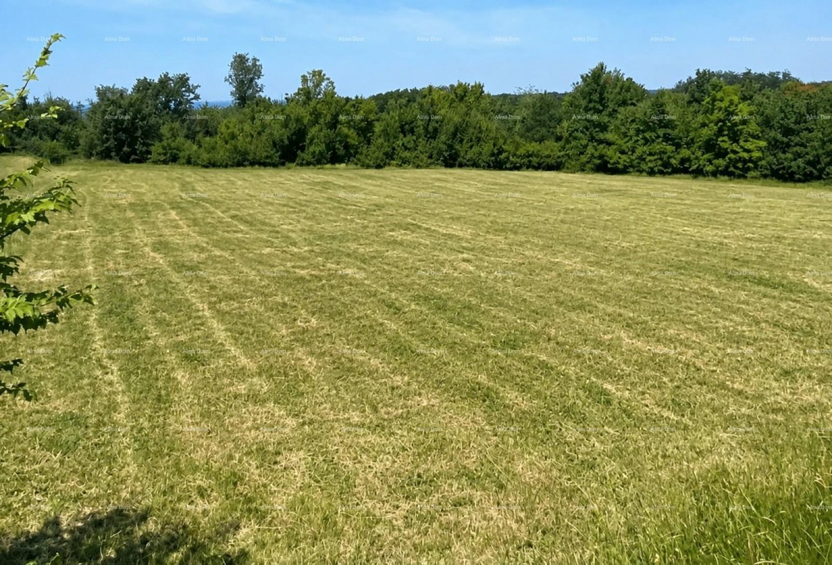 Tar, prodaje se građevinsko zemljište površine 1.539 m² 2