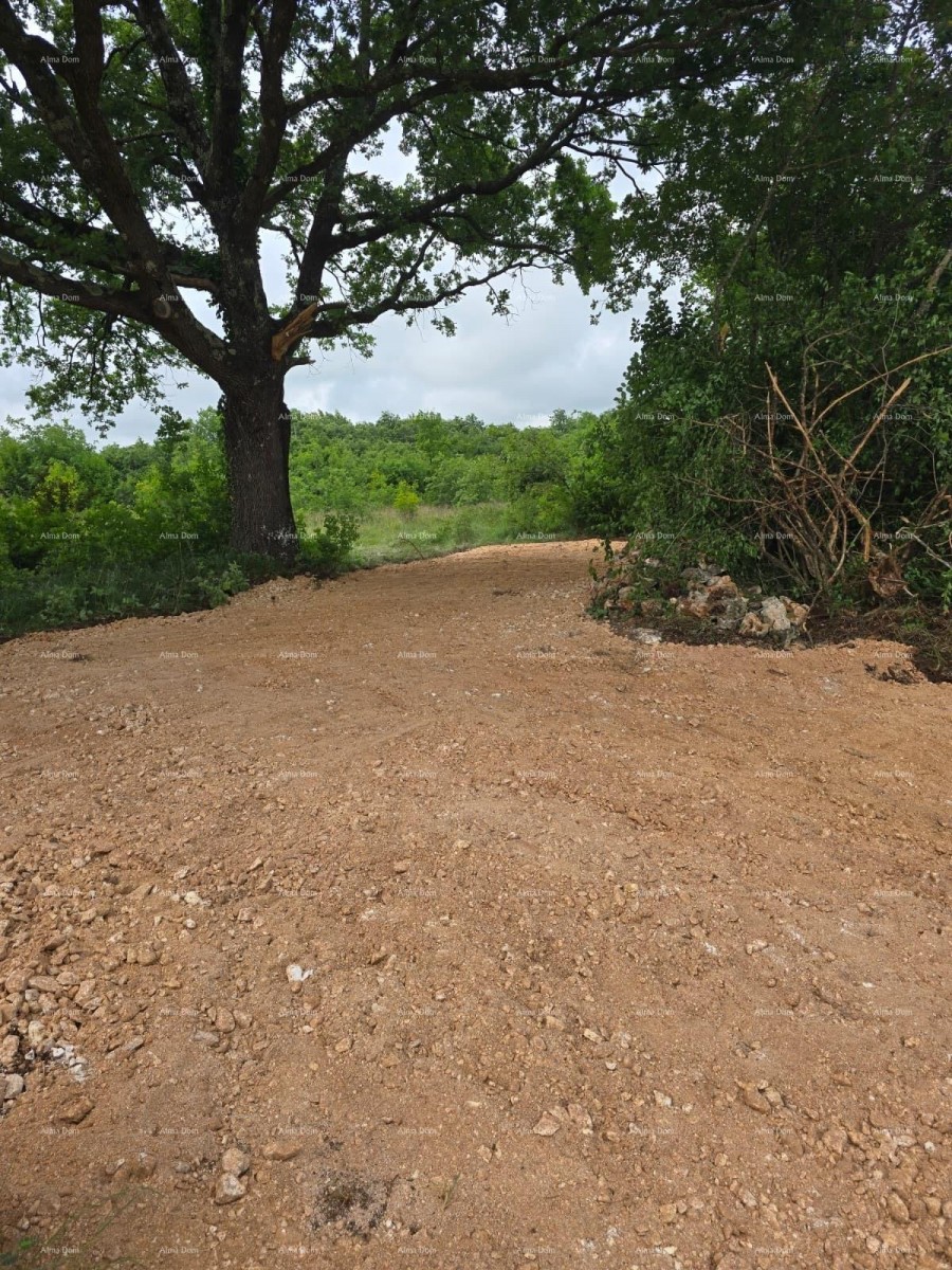 Sale - two construction plots with valid permits for building houses with pools, Marčana! Construction can start immediately! 9