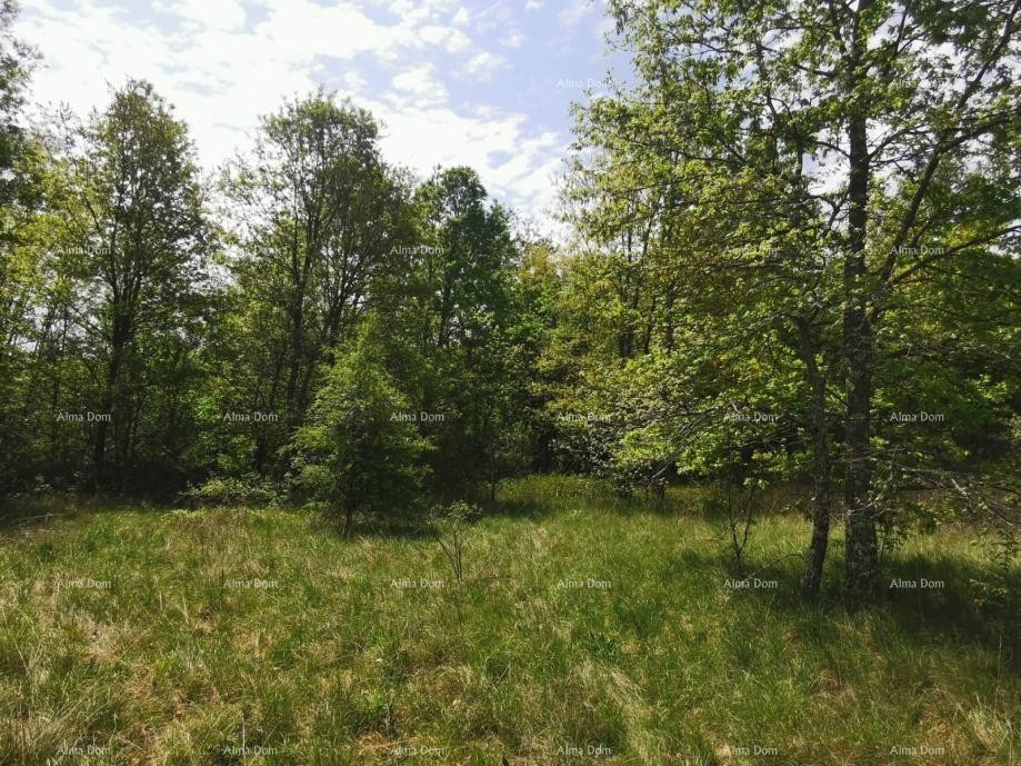 Prodaje se građevinsko zemljište, 1817m2, sa projektom kuće i građevinskom dozvolom, Sveta Nedelja 3