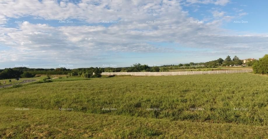 In vendita terreno edificabile, 7.159 m² – Brtonigla 1