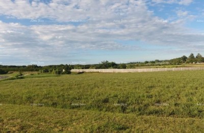 In vendita terreno edificabile, 7.159 m² – Brtonigla