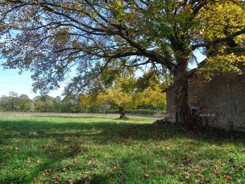 Građevinsko zemljište, Žminj. 60 EURA M2. 5