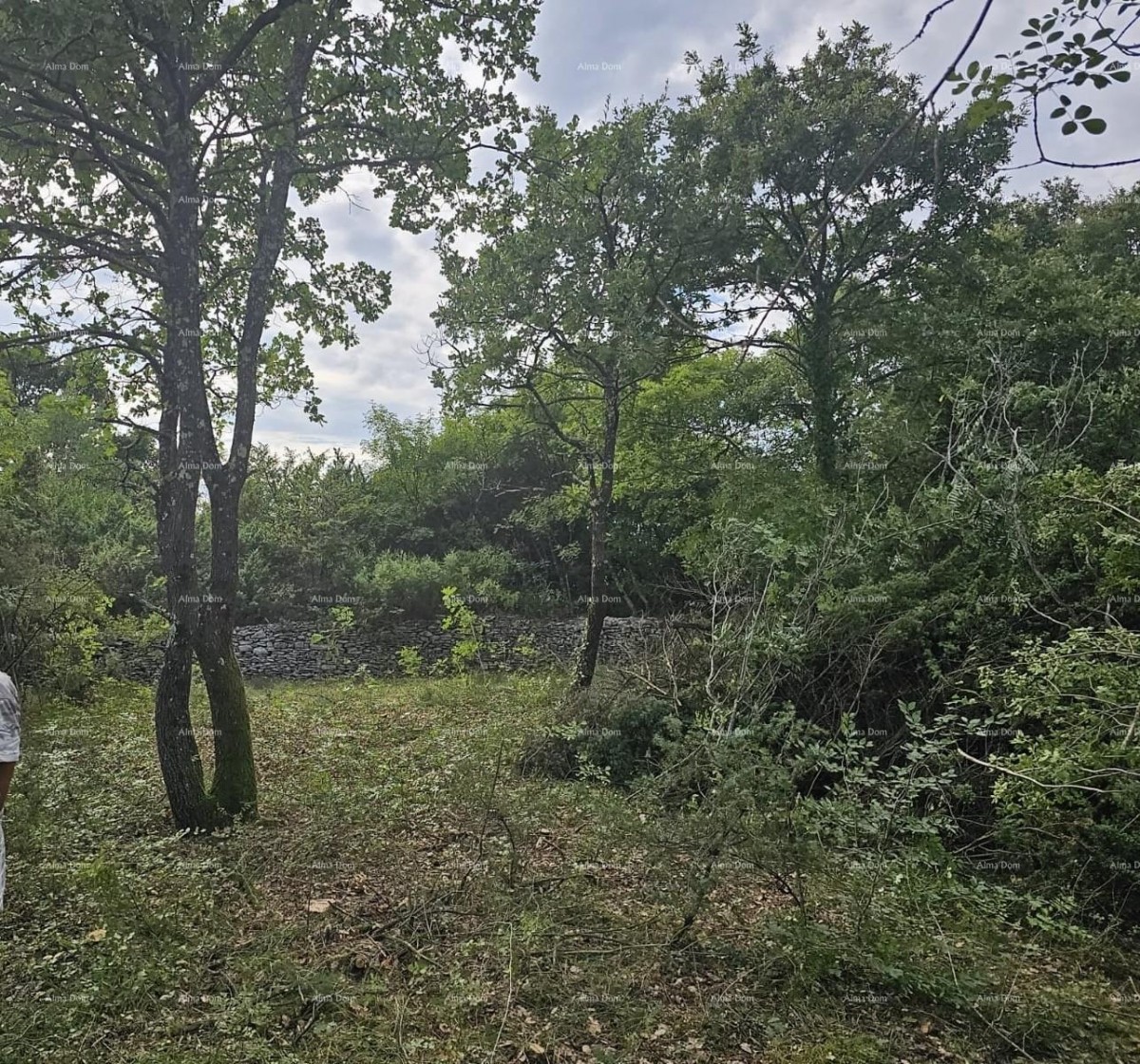 Эемля Svetvinčenat 3