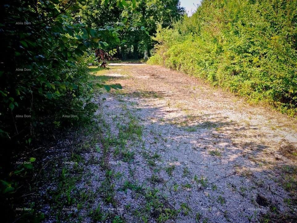 Istria, Kršan, we are selling two building plots with permits. 6