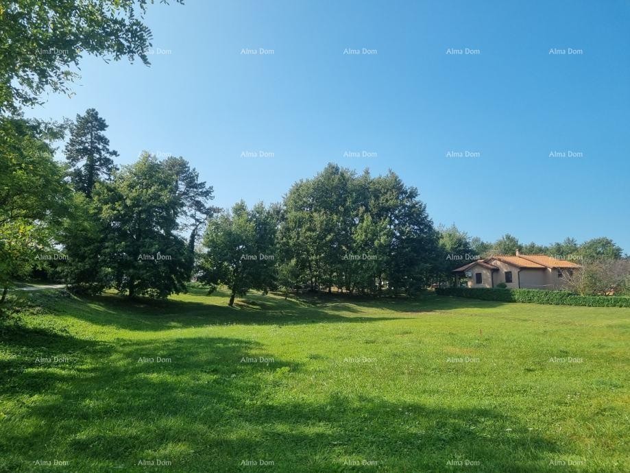 House Pazin 2