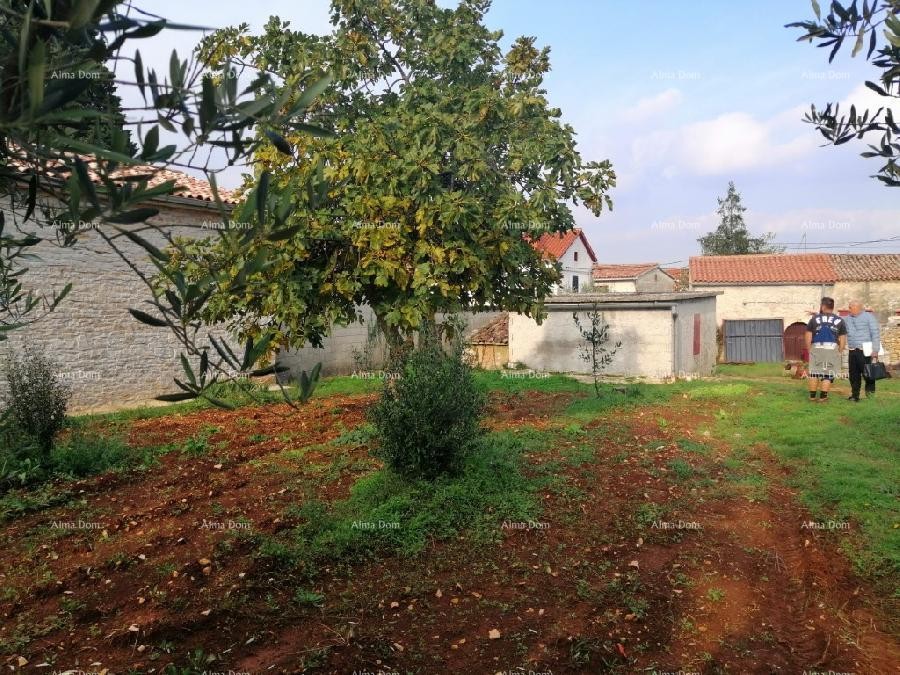 Građevinski teren sa 3 manja legalizirana objekta. Vareški. 19