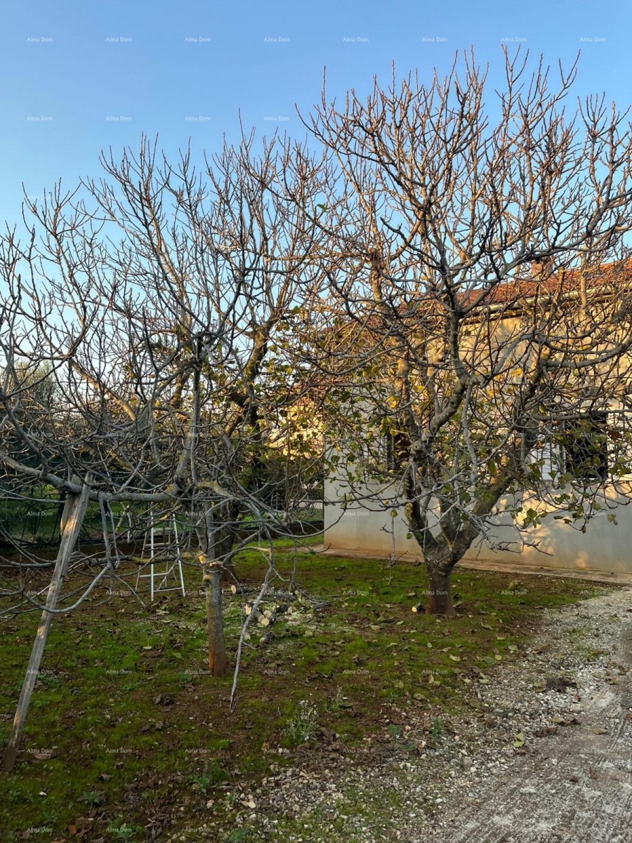 For sale: Detached house in Fažana. 14