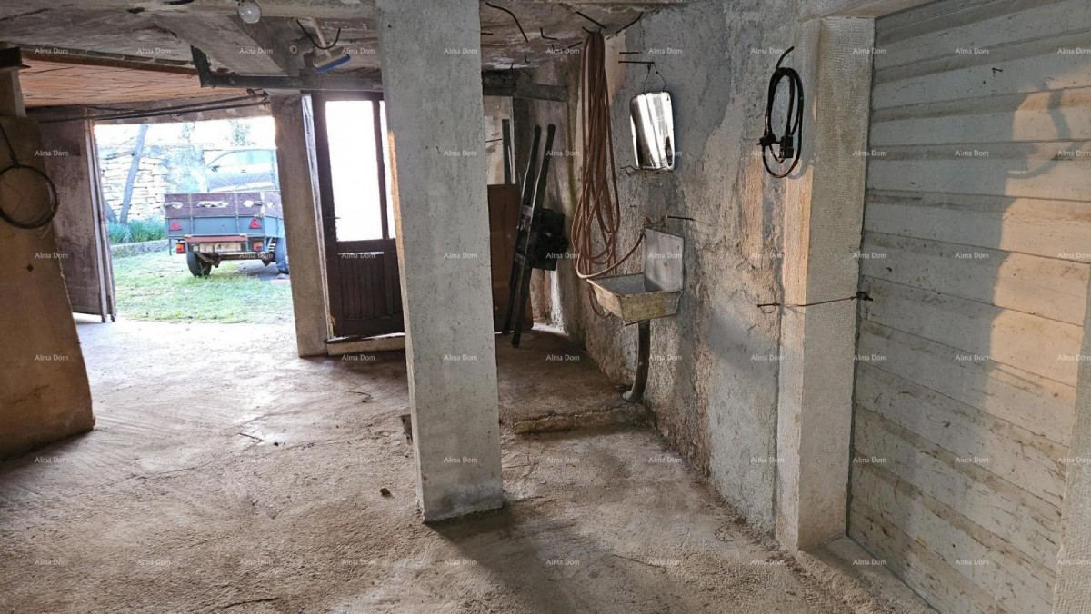 ŽMINJ (okolice) - odlična kamena kuća s dvorištem 10