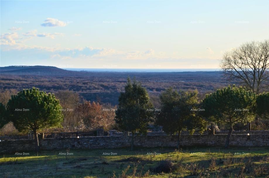 Kanfanar, imanje s pogledom na more – 6.038 m² građevinskog zemljišta 6