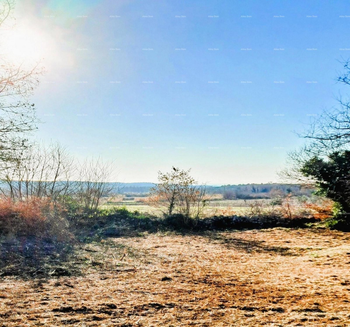 Višnjan – Construction Land 3,500 m² 3