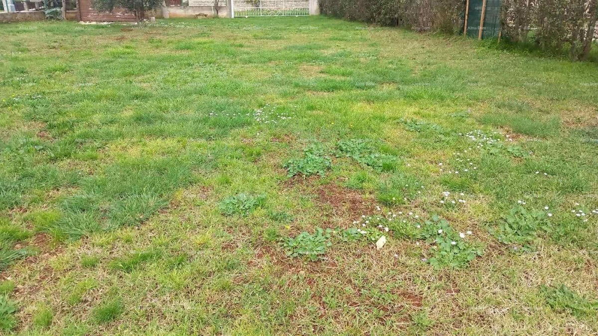 Эемля Vodnjan 1