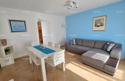 Квартира Novigrad