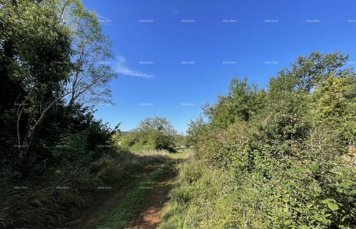 Продажа - каменный дом для ремонта с большим участком земли, Опрталь! 7