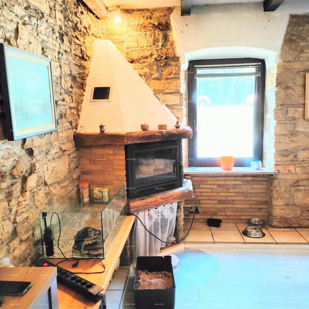 House Pazin 3
