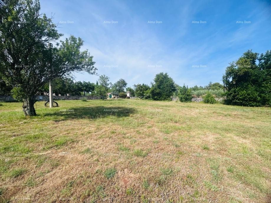 Buje – Samostojeća kuća s maslinikom i građevinskim zemljištem 11