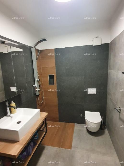 In vendita ampio appartamento con galleria e terrazza sul tetto – Foresta di Šijana 14
