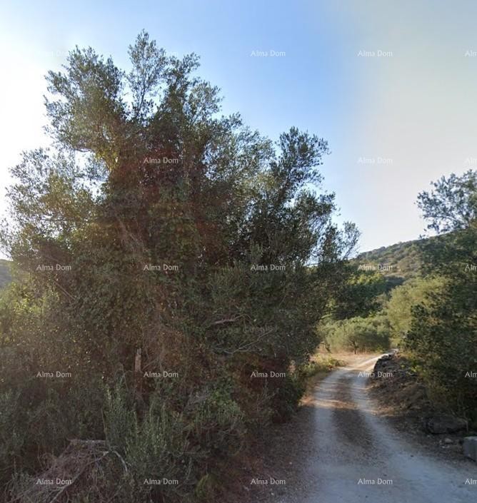 Prodaja građevinskog zemljišta, 350 m udaljeno od mora Vela Luka, Korčula! 2