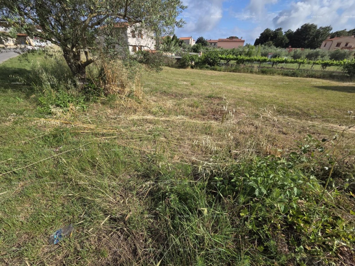 Građevinsko zemljišče 1.412 m², Šegotići 7