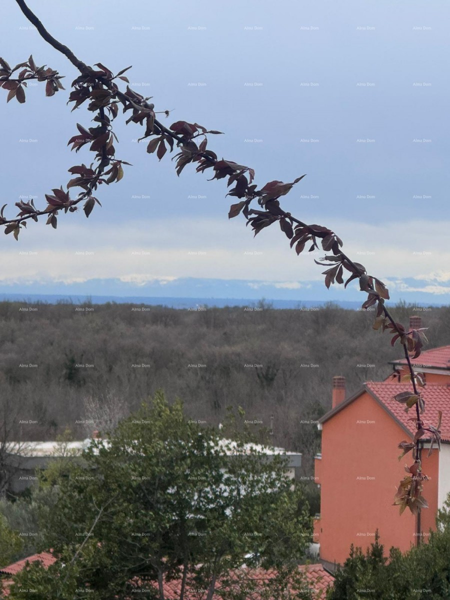 Construction land 3,800 m² with sea view 1