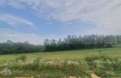 VIŠNJAN – ATTRACTIVE BUILDING LAND WITH A VIEW, 2,588 m²