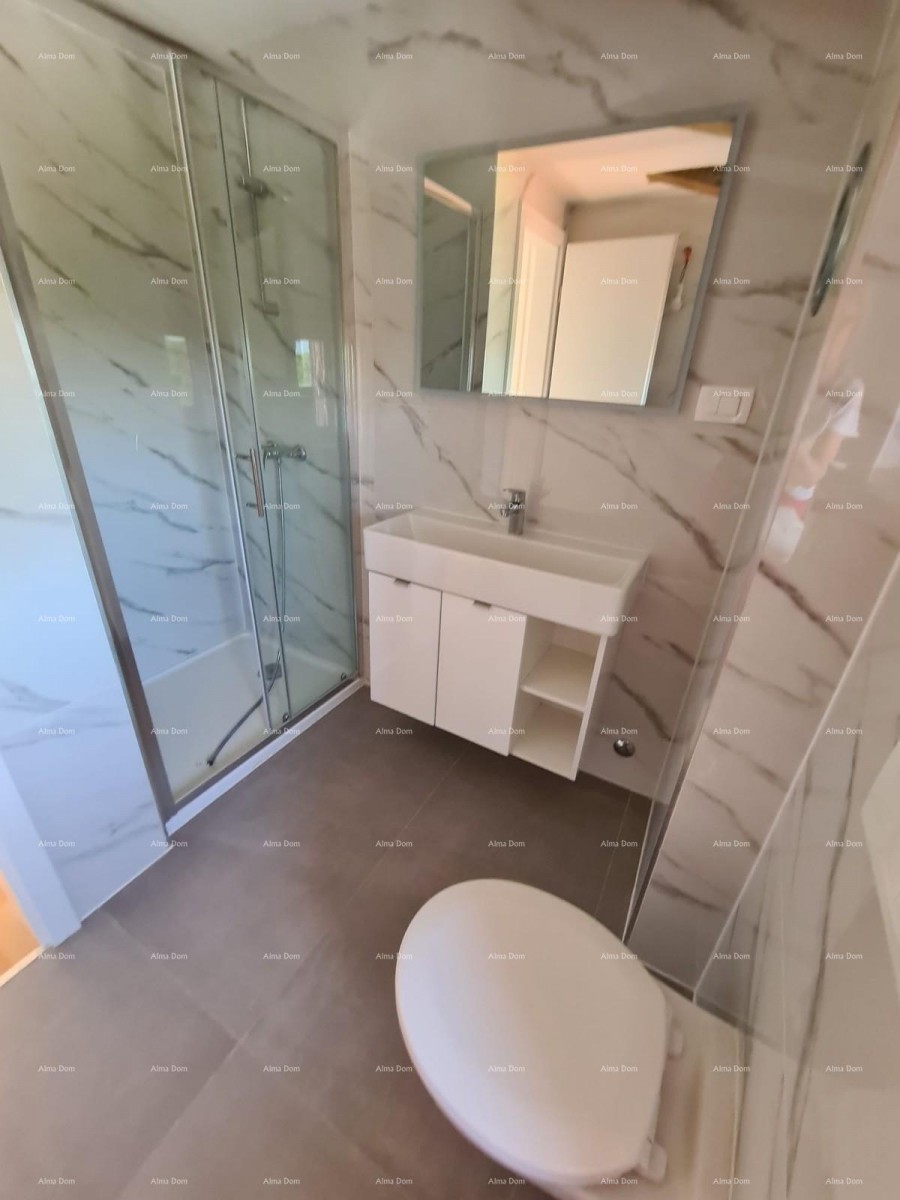 Ristrutturata casa in pietra con piscina – tranquillo villaggio vicino a Svetvinčenat 31