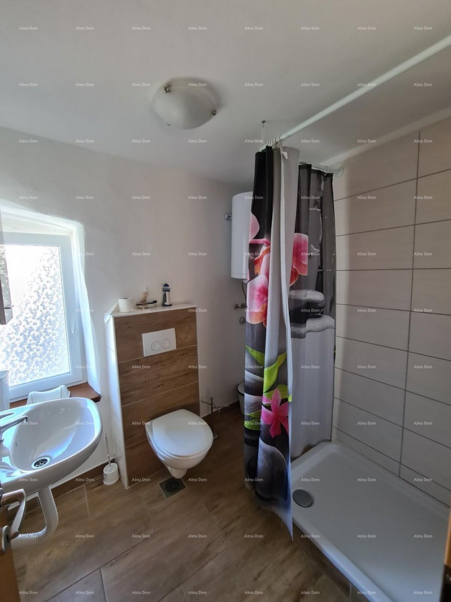 Ližnjan,istarska renovirana kuća! 48