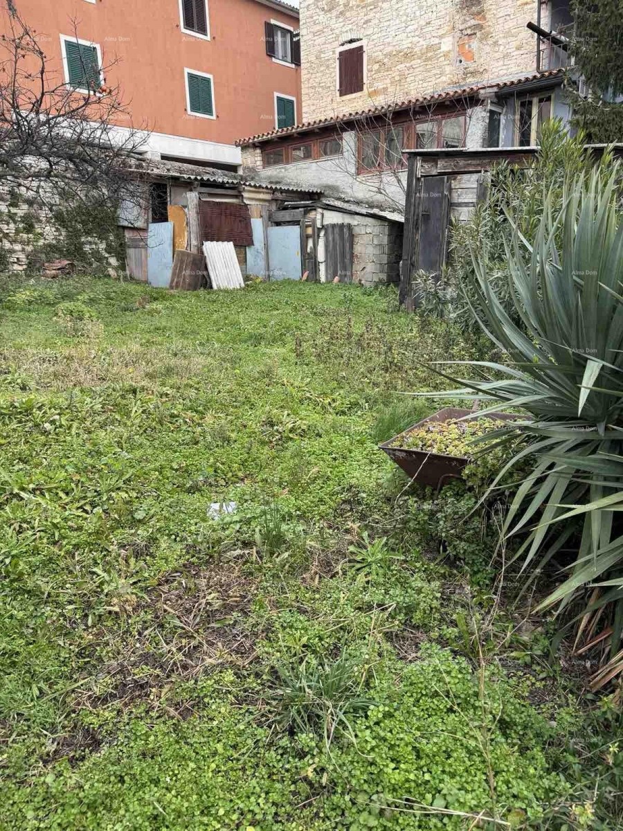 A house with a yard near the center, Buje! 29