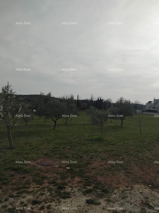 Atraktivno zemljišče, 5.716 m²,  okolica Poreča 2