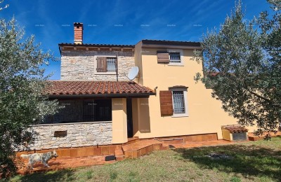 Galižana! Stone villa with two additional houses!