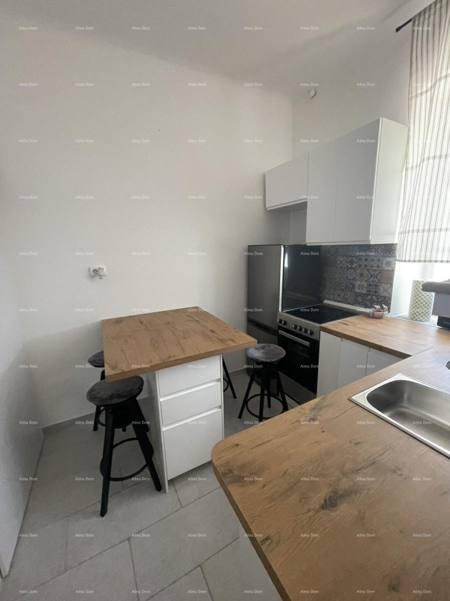 Appartamento arredato di 45 m2 al piano terra nel centro di Pola 10