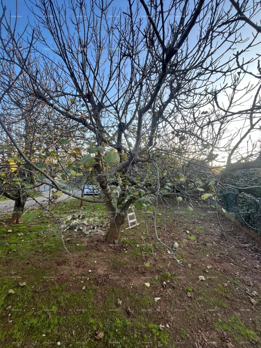 For sale: Detached house in Fažana. 20