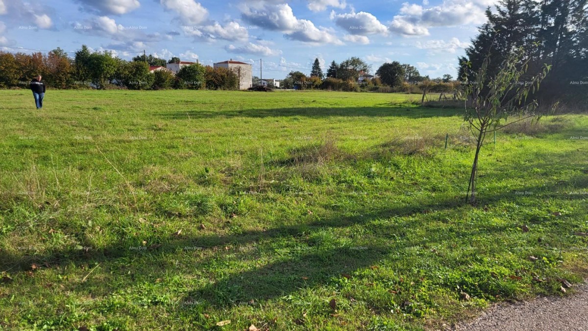 ЭКСКЛЮЗИВНО! Строительный участок, Радеки Поле 4