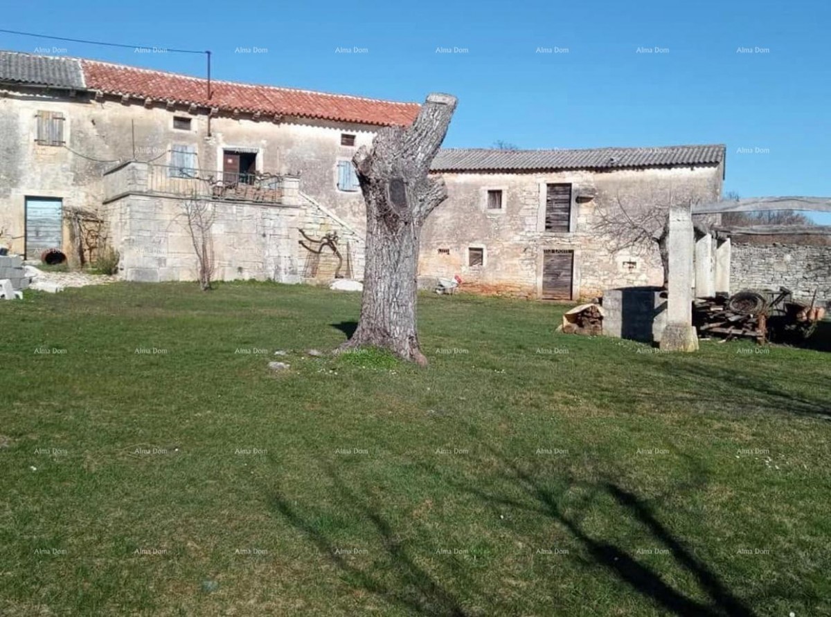 Pazin, Istria - due vecchie case in pietra con ampio terreno 2