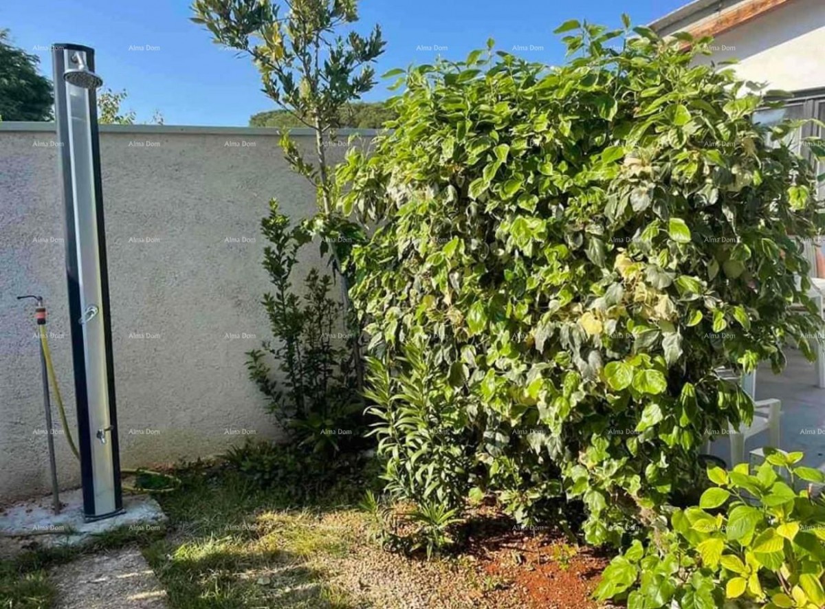 Prodaja kuće, udaljena 50 m od mora, Umag! 3