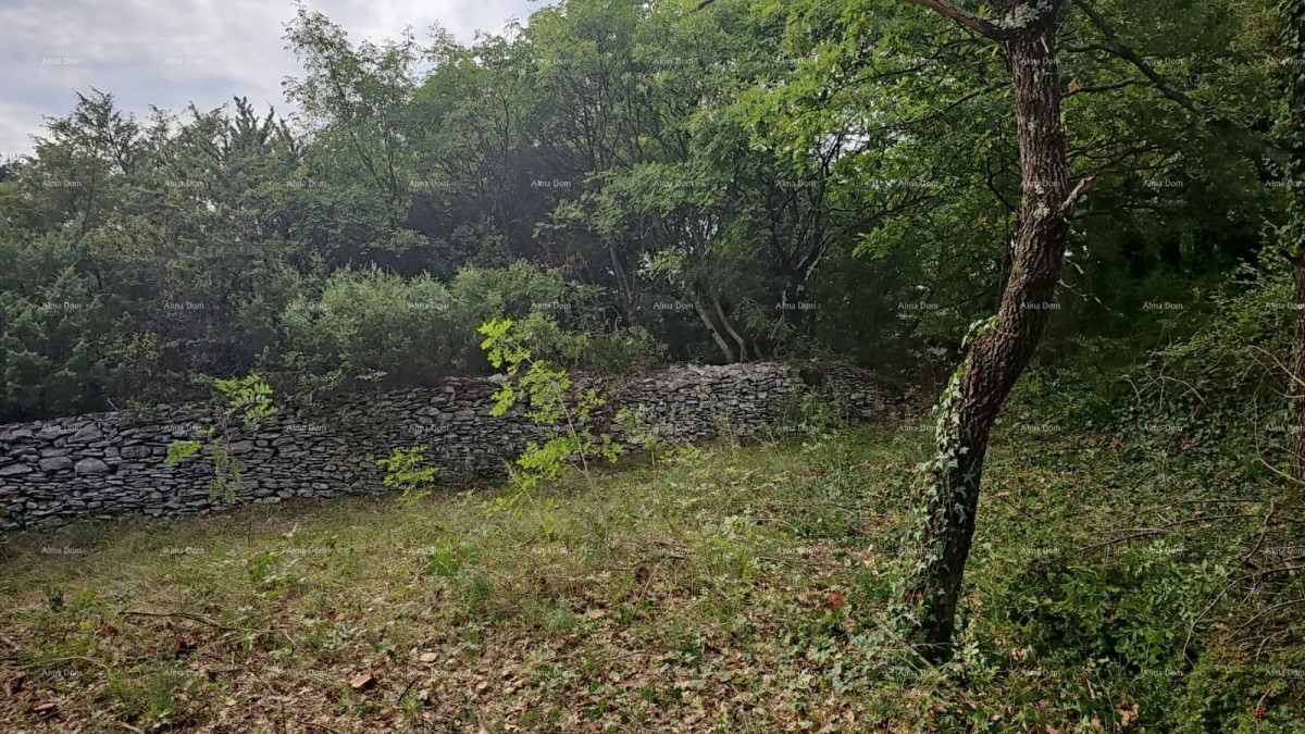 Эемля Svetvinčenat 1