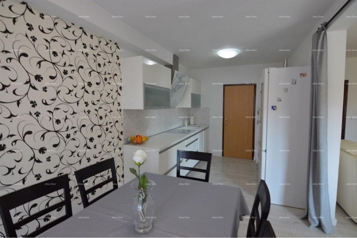 Spacious apartment with a yard, Tar 4