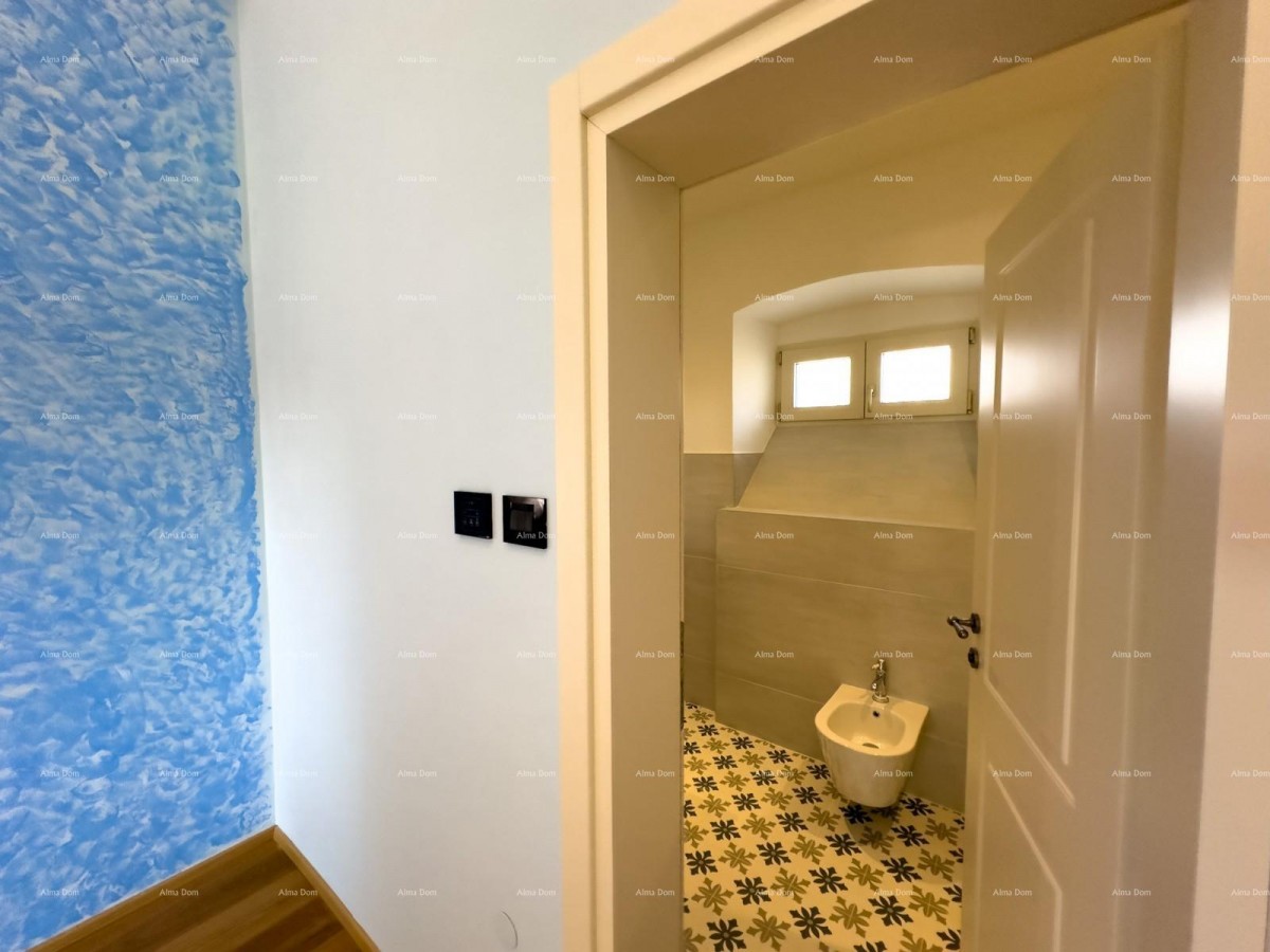 Редкость на рынке!   Istra  Barban 13