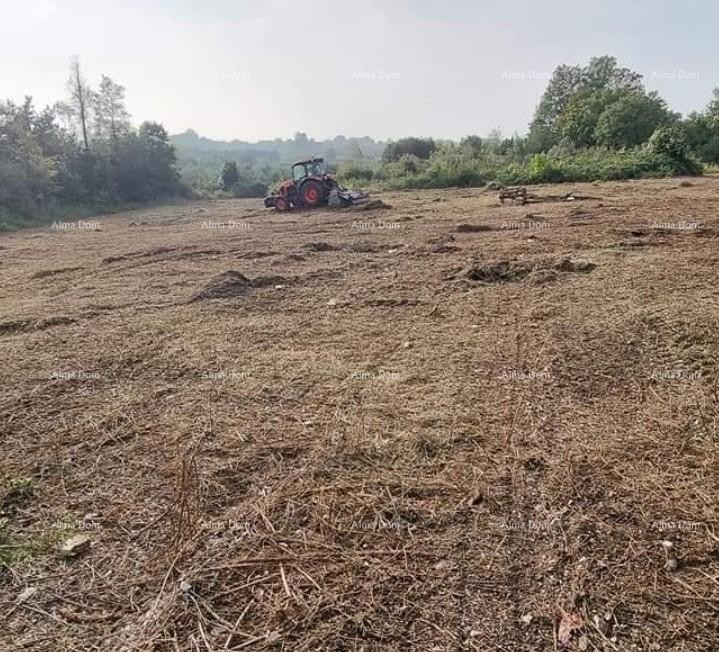 Brtonigla. Zazidljivo zemljišče. 6