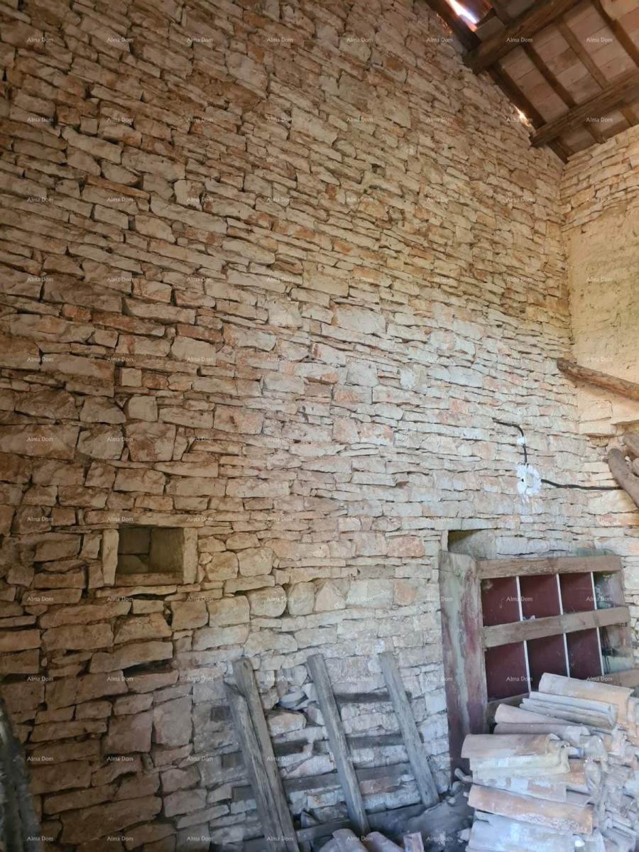 Усадьба возле Водняна! Большой участок 7154 м2!! 10