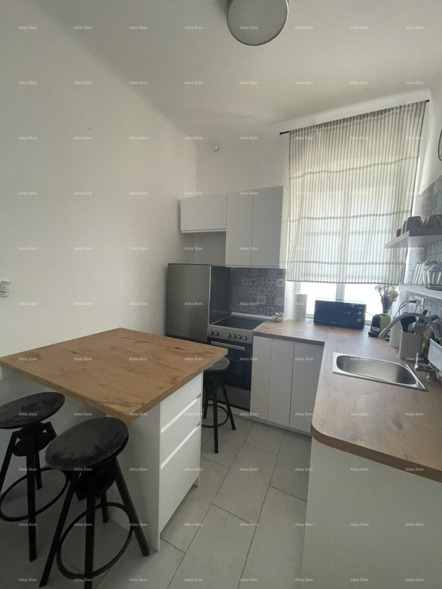 Appartamento arredato di 45 m2 al piano terra nel centro di Pola 9